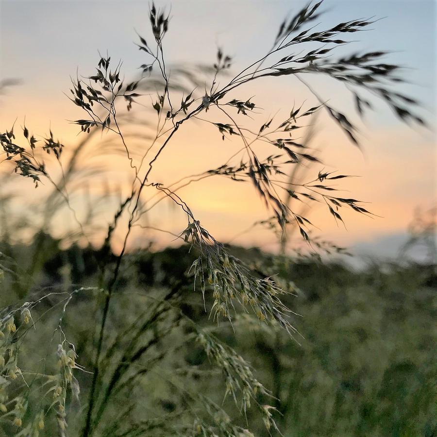 Agriturismo Gocce Di Luna Celle Ligure Dış mekan fotoğraf
