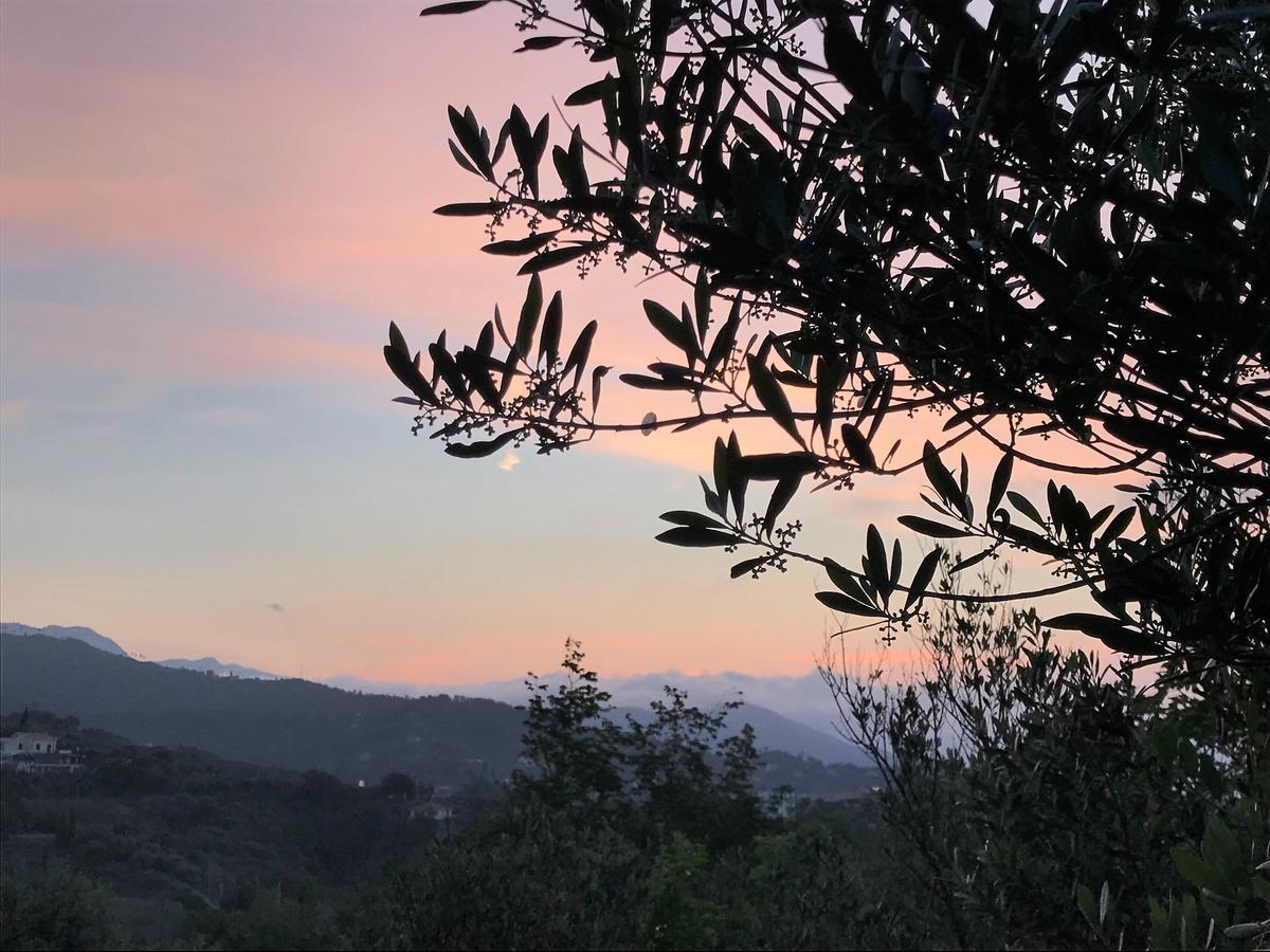 Agriturismo Gocce Di Luna Celle Ligure Dış mekan fotoğraf